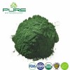 Pure Chlorella Superfood Powder for Ultimate Health Boost