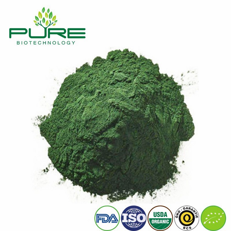 Pure Chlorella Superfood Powder for Ultimate Health Boost