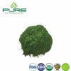 Pure Chlorella Superfood Powder for Ultimate Health Boost