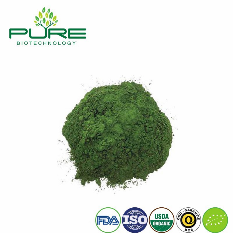 Pure Chlorella Superfood Powder for Ultimate Health Boost