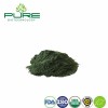 Pure Chlorella Superfood Powder for Ultimate Health Boost