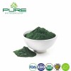 Pure Chlorella Superfood Powder for Ultimate Health Boost