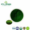Pure Chlorella Superfood Powder for Ultimate Health Boost