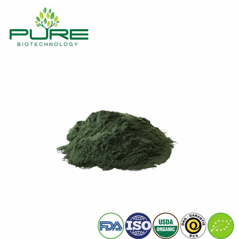Pure Chlorella Superfood Powder for Ultimate Health Boost