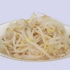 Crispy and Crunchy Mung Bean Sprouts in Brine/Water in Tin or Jar