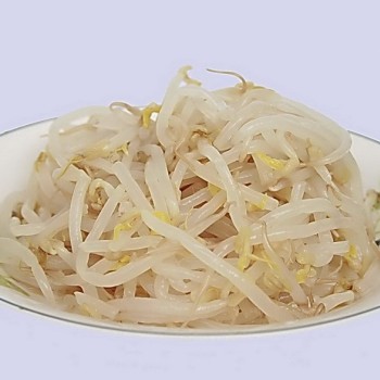 Crispy and Crunchy Mung Bean Sprouts in Brine/Water in Tin or Jar