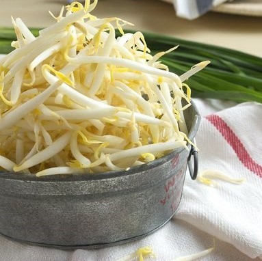 Crispy and Crunchy Mung Bean Sprouts in Brine/Water in Tin or Jar