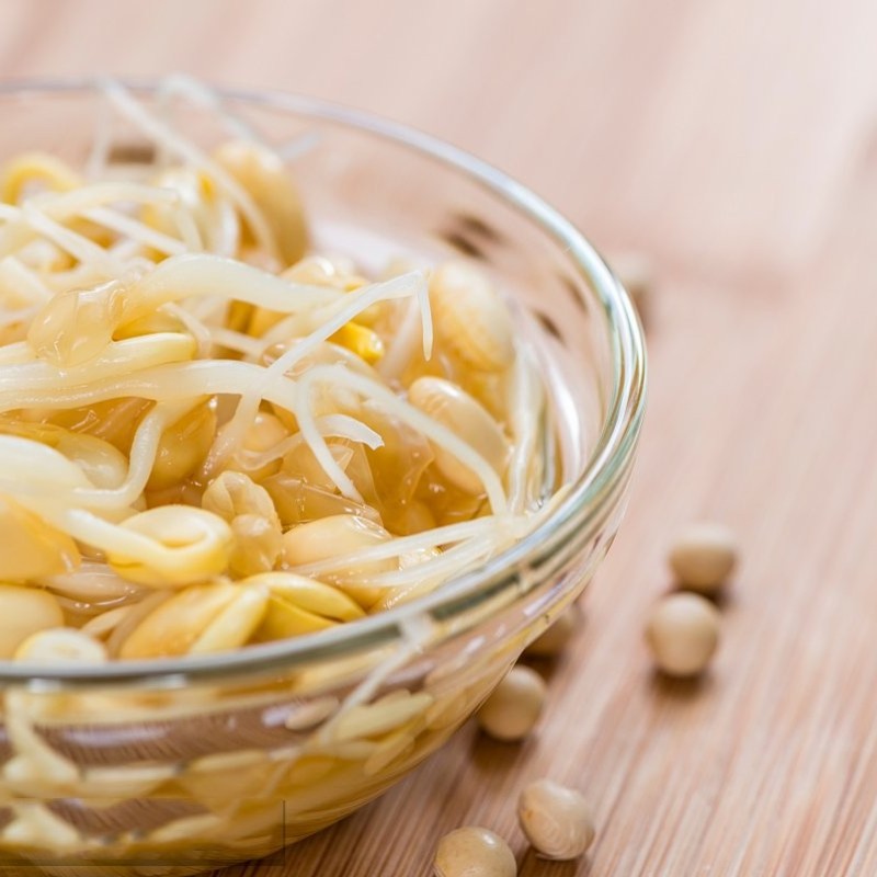Crispy and Crunchy Mung Bean Sprouts in Brine/Water in Tin or Jar