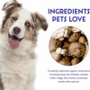 Mushroom Powder for Pet Daily Nutrition Immune Booster Pet Supplement OEM