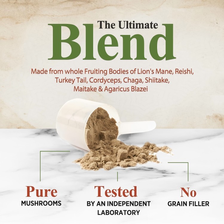 Mushroom Powder for Pet Daily Nutrition Immune Booster Pet Supplement OEM