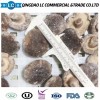 Frozen Shiitake Mushroom in Hot Sale
