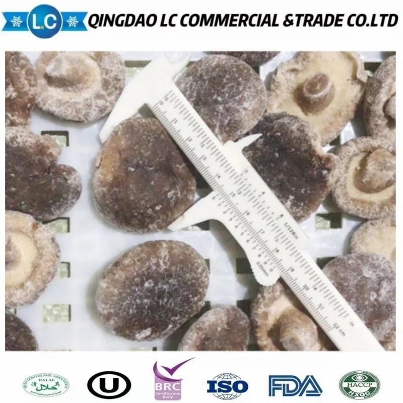 Frozen Shiitake Mushroom in Hot Sale