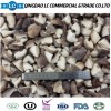 Frozen Shiitake Mushroom in Hot Sale