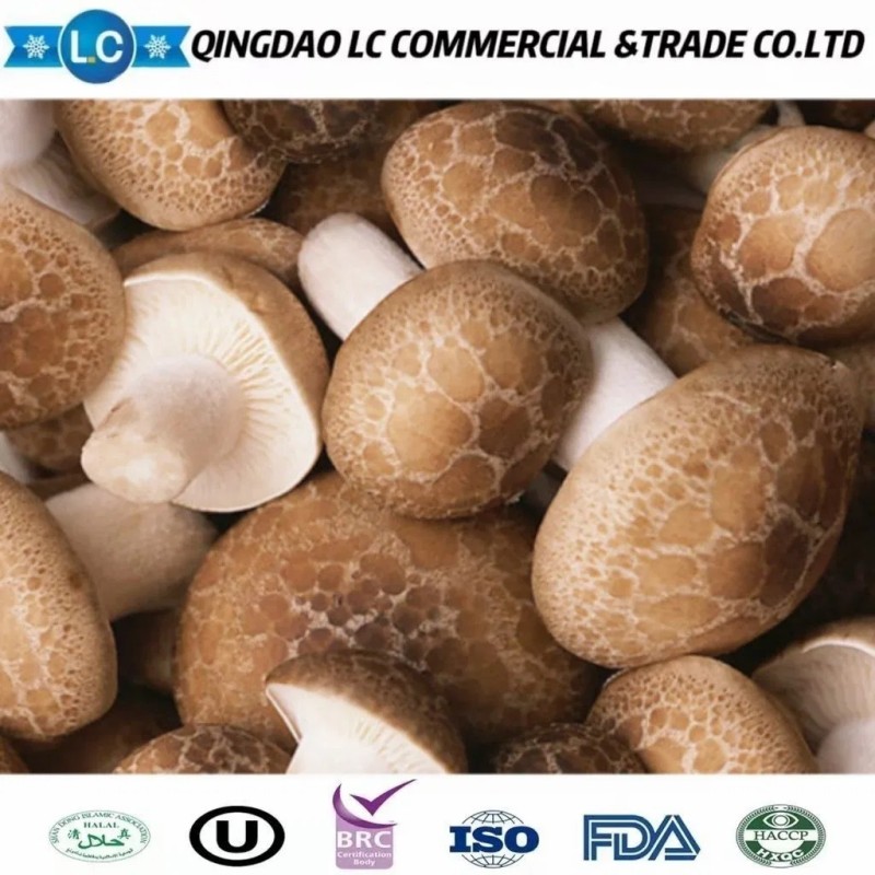Frozen Shiitake Mushroom in Hot Sale