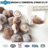 Frozen Shiitake Mushroom in Hot Sale