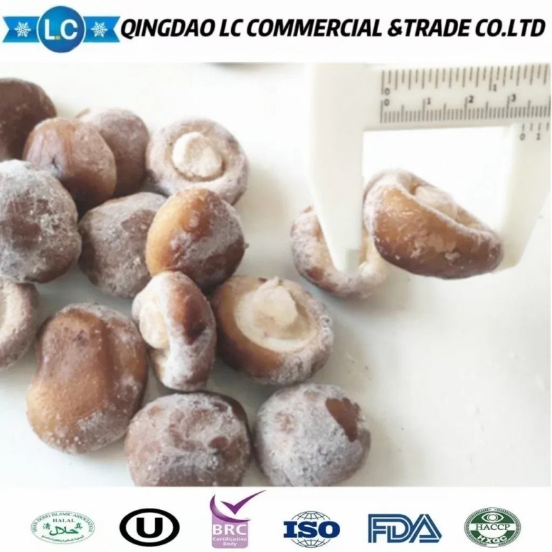 Frozen Shiitake Mushroom in Hot Sale
