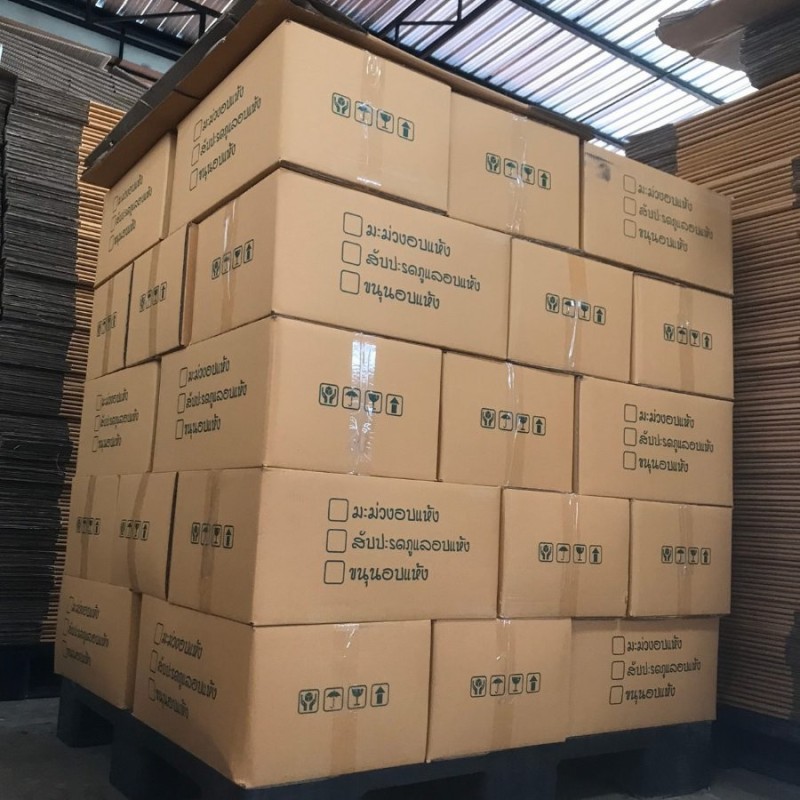 Organic Cultivate Air Dry Food Mango Slice