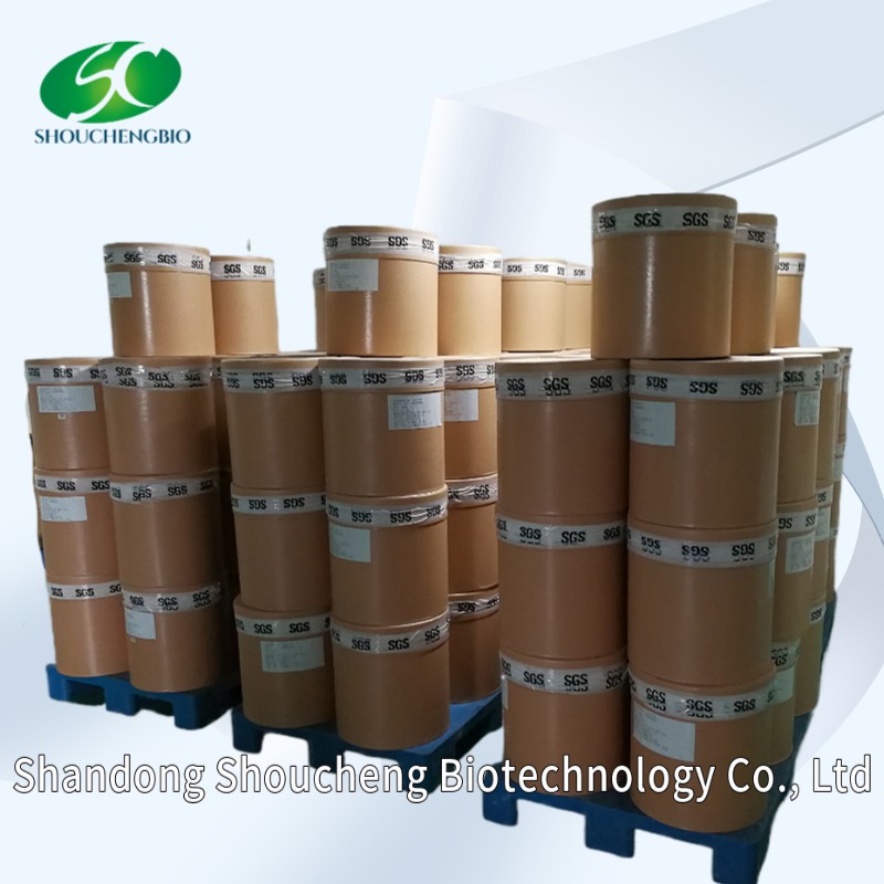 Chondroitin Sulfate Sodium Powder USP Ep 90% 95% 98% Halal CAS: 9007-28-7