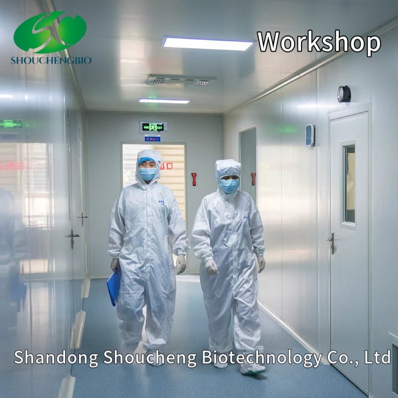 Chondroitin Sulfate Sodium Powder USP Ep 90% 95% 98% Halal CAS: 9007-28-7