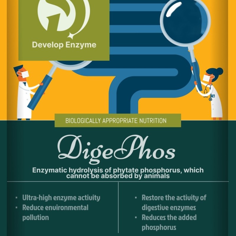 Factory Supply Livestock Poultry Feed Additive Thermostable Phytase Powder Granule Enzyme