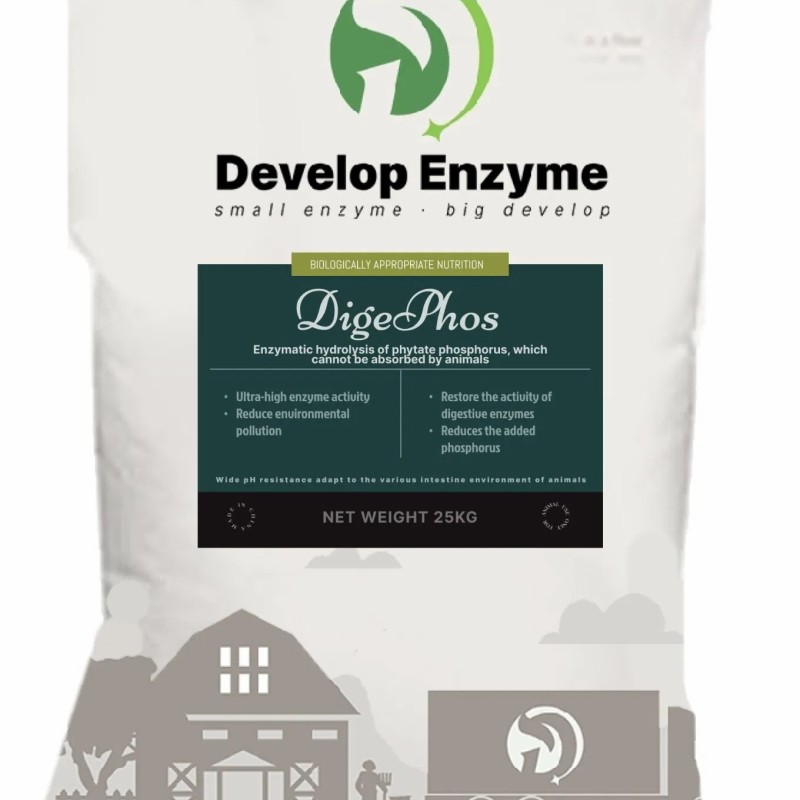 Factory Supply Livestock Poultry Feed Additive Thermostable Phytase Powder Granule Enzyme