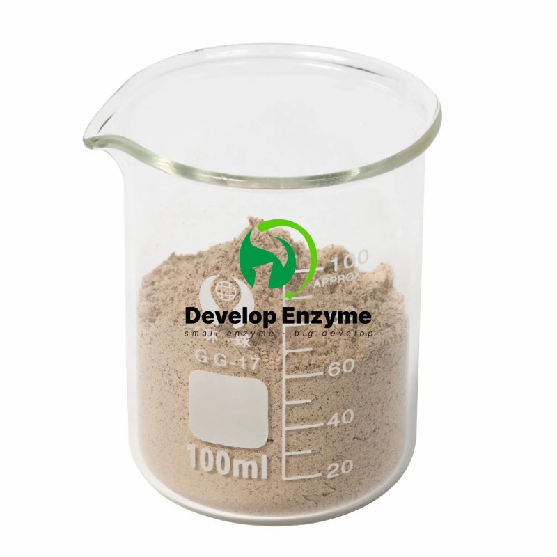 Factory Supply Livestock Poultry Feed Additive Thermostable Phytase Powder Granule Enzyme