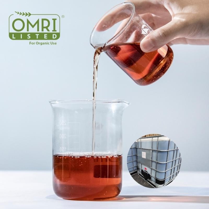 50% Hydrolyzed Protein Amino Acid Liquid - Ideal for Fitness Enthusiasts