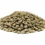 Arabica Robusta Coffee Beans Wholesale High Quality Low Price