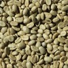 Arabica Robusta Coffee Beans Wholesale High Quality Low Price
