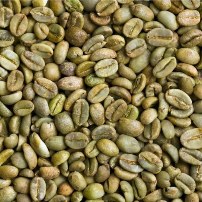 Arabica Robusta Coffee Beans Wholesale High Quality Low Price