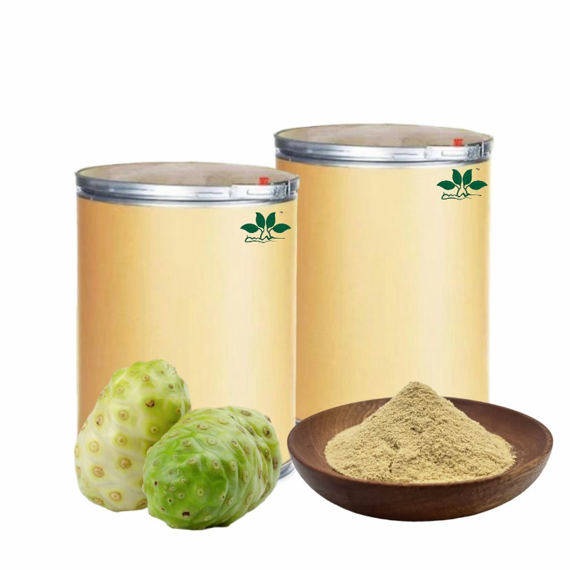 Premium noni extract powder for Vitality and Wellness