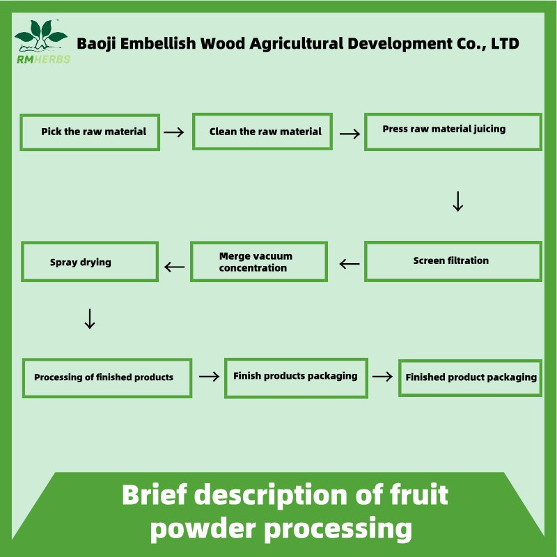 Premium noni extract powder for Vitality and Wellness