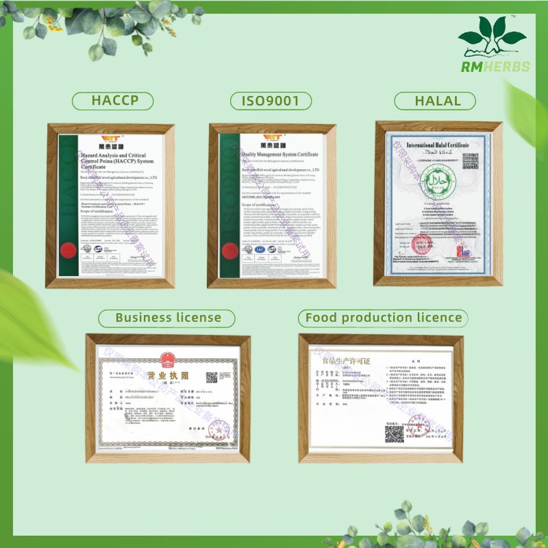 Premium noni extract powder for Vitality and Wellness