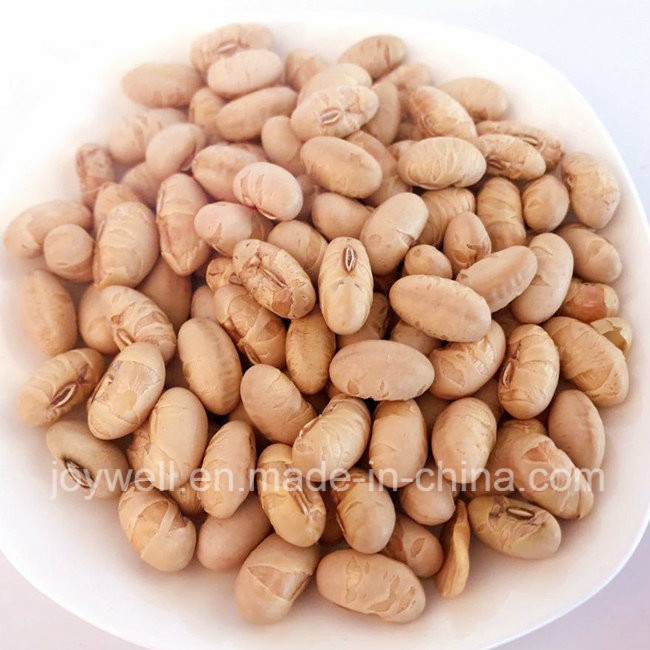 BBQ Flavor Coated Natural Roasted Edamame Manufacturer