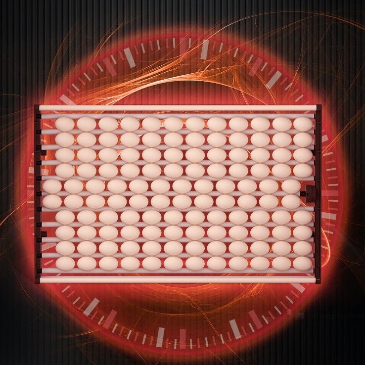 Hhd New Industrial Poultry Automatic Chicken Egg Incubator for Sale 1000