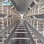 Automatic Design Trade a Type Layer Egg Chicken Cages for Poultry Farm Equipment 10000 Broiler Cage Chicken Broiler Cage Plastic Slats