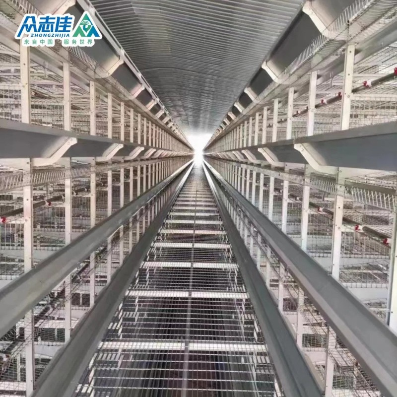 Automatic Design Trade a Type Layer Egg Chicken Cages for Poultry Farm Equipment 10000 Broiler Cage Chicken Broiler Cage Plastic Slats