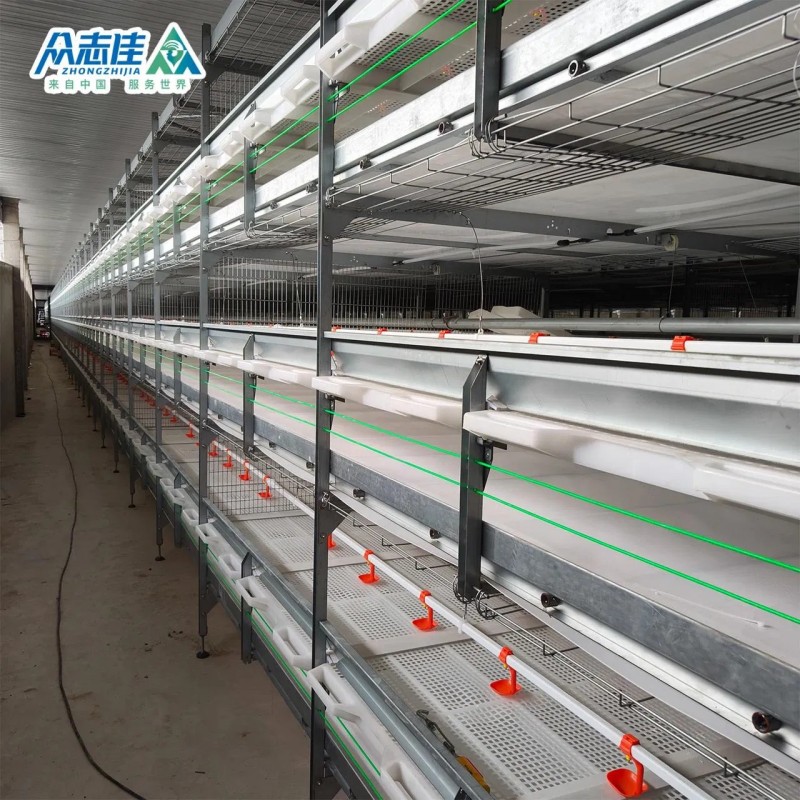 Automatic Design Trade a Type Layer Egg Chicken Cages for Poultry Farm Equipment 10000 Broiler Cage Chicken Broiler Cage Plastic Slats