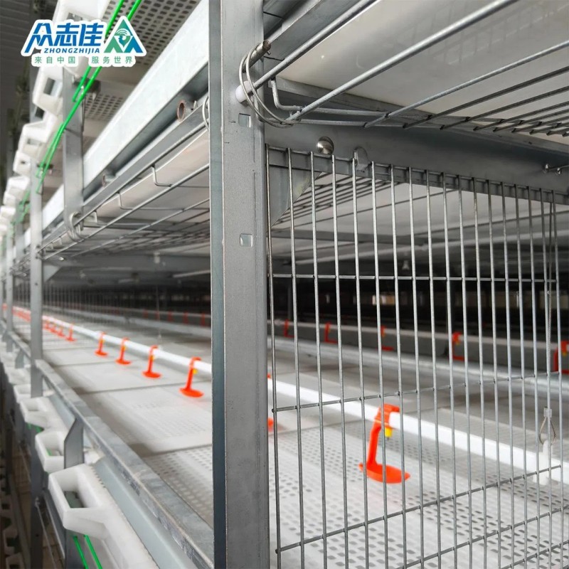 Automatic Design Trade a Type Layer Egg Chicken Cages for Poultry Farm Equipment 10000 Broiler Cage Chicken Broiler Cage Plastic Slats