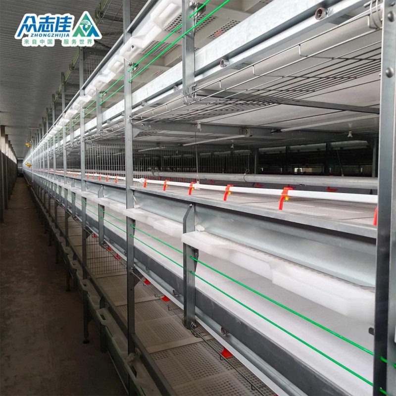Automatic Design Trade a Type Layer Egg Chicken Cages for Poultry Farm Equipment 10000 Broiler Cage Chicken Broiler Cage Plastic Slats