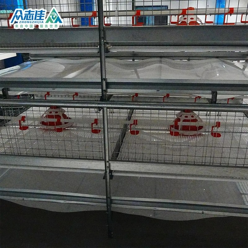 Automatic Design Trade a Type Layer Egg Chicken Cages for Poultry Farm Equipment 10000 Broiler Cage Chicken Broiler Cage Plastic Slats