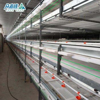 Automatic Design Trade a Type Layer Egg Chicken Cages for Poultry Farm Equipment 10000 Broiler Cage Chicken Broiler Cage Plastic Slats