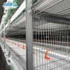 Automatic Design Trade a Type Layer Egg Chicken Cages for Poultry Farm Equipment 10000 Broiler Cage Chicken Broiler Cage Plastic Slats
