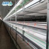 Automatic Design Trade a Type Layer Egg Chicken Cages for Poultry Farm Equipment 10000 Broiler Cage Chicken Broiler Cage Plastic Slats