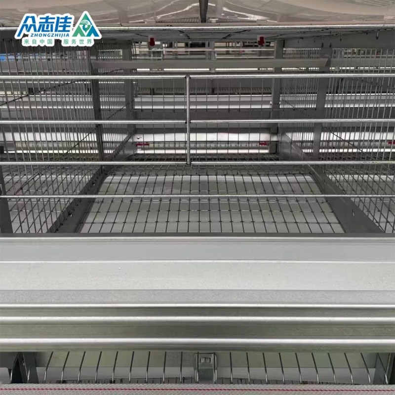 Automatic Design Trade a Type Layer Egg Chicken Cages for Poultry Farm Equipment 10000 Broiler Cage Chicken Broiler Cage Plastic Slats