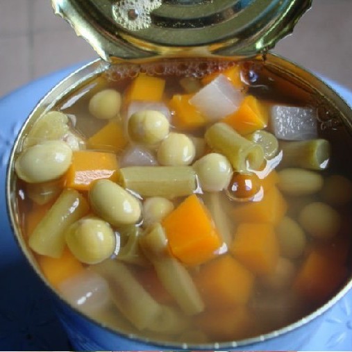 All Kinds of Canned Vegetables Onion/Carrot/Corn/Cauliflower/Broccoli/Green Beans in Water
