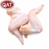 Premium Halal Frozen Chicken Wings for Global Distributors