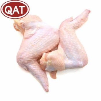 Premium Halal Frozen Chicken Wings for Global Distributors