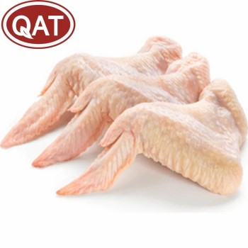 Premium Halal Frozen Chicken Wings for Global Distributors