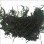 Machine Dried Kelp Shreds 10% Moisture Seaweed for Soup/Salad ISO22000 Factory